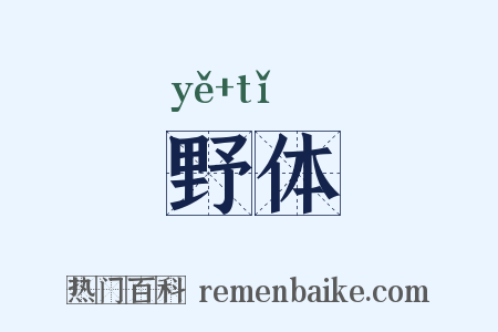 野体是什么意思的图片